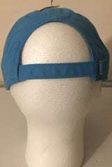 Fitted Carolina Carolina Panthers Hat